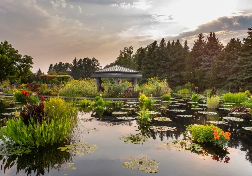 Denver-Botanic-Gardens.webp